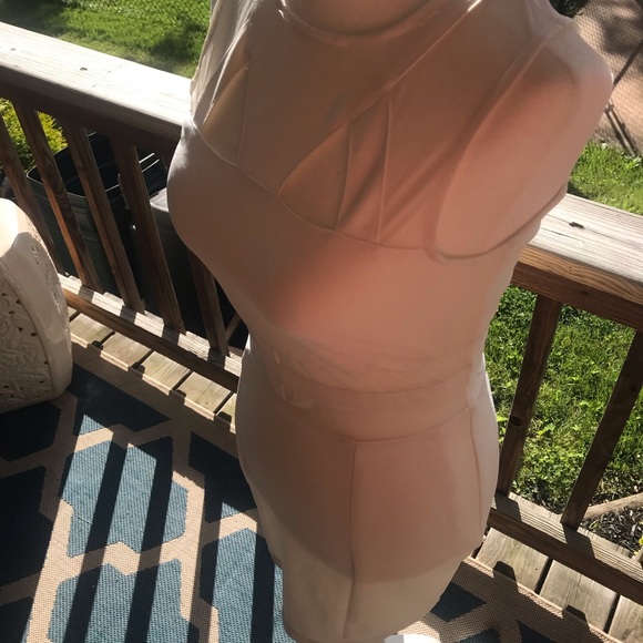 White & Mesh Bodycon Dress - Picture 14 of 16